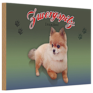 Holzschild Hund 30x20cm Zwergspitz Deutschland