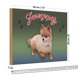 Holzschild Hund 30x20cm Zwergspitz Deutschland