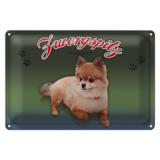 Blechschild Hund 30x20cm Zwergspitz Deutschland