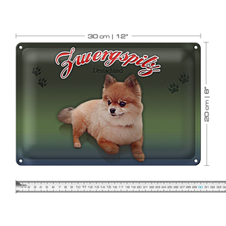 Blechschild Hund 30x20cm Zwergspitz Deutschland