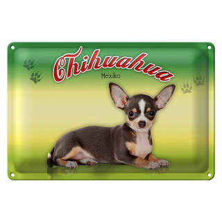 Blechschild Hund 30x20cm Chihuahua Mexiko Wanddeko