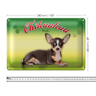Blechschild Hund 30x20cm Chihuahua Mexiko Wanddeko
