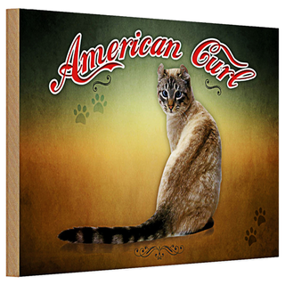Holzschild Katze 30x20cm American Curl Wanddeko