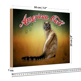 Holzschild Katze 30x20cm American Curl Wanddeko