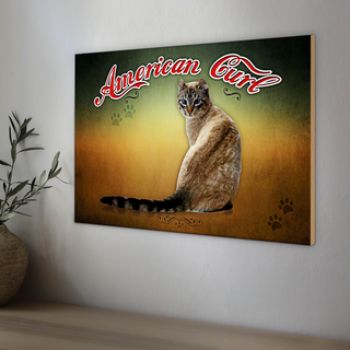 Holzschild Katze 30x20cm American Curl Wanddeko