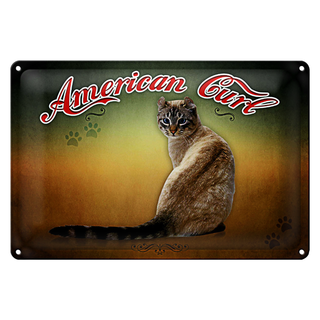 Blechschild Katze 30x20cm American Curl Wanddeko