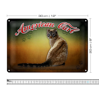 Blechschild Katze 30x20cm American Curl Wanddeko
