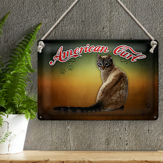Blechschild Katze 30x20cm American Curl Wanddeko