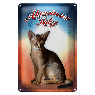 Blechschild Katze 20x30cm Abessinier Katze Wanddeko