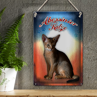 Blechschild Katze 20x30cm Abessinier Katze Wanddeko
