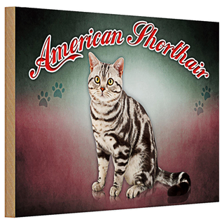 Holzschild Katze 30x20cm American Shorthair Wanddeko