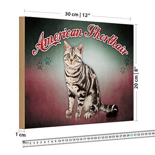 Holzschild Katze 30x20cm American Shorthair Wanddeko