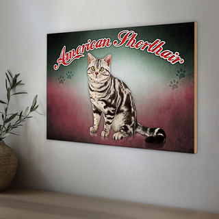 Holzschild Katze 30x20cm American Shorthair Wanddeko