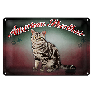 Blechschild Katze 30x20cm American Shorthair Wanddeko