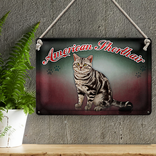 Blechschild Katze 30x20cm American Shorthair Wanddeko