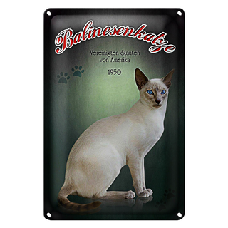 Blechschild Katze 20x30cm Balinesenkatze Amerika 1950