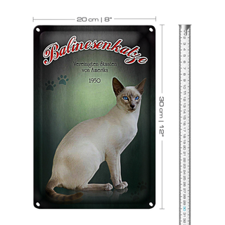 Blechschild Katze 20x30cm Balinesenkatze Amerika 1950