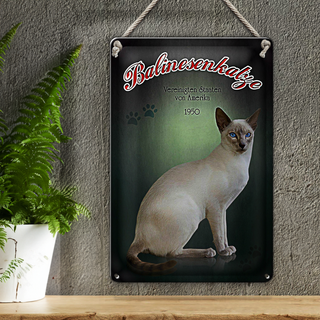 Blechschild Katze 20x30cm Balinesenkatze Amerika 1950