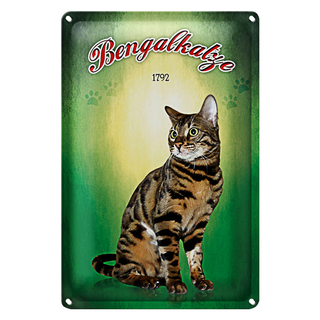 Blechschild Katze 20x30cm Bengalkatze 1792 Wanddeko