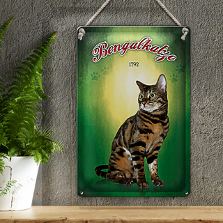Blechschild Katze 20x30cm Bengalkatze 1792 Wanddeko