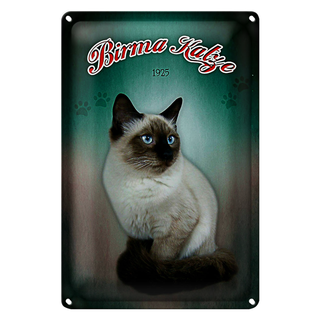 Blechschild Katze 20x30cm Birma Katze 1925 Wanddeko