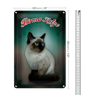 Blechschild Katze 20x30cm Birma Katze 1925 Wanddeko