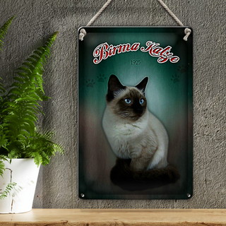 Blechschild Katze 20x30cm Birma Katze 1925 Wanddeko