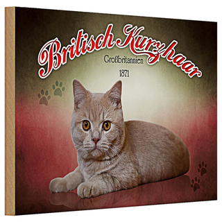 Holzschild Katze 30x20cm British Kurzhaar Großbritanien