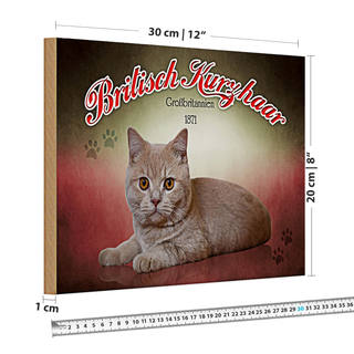 Holzschild Katze 30x20cm British Kurzhaar Großbritanien