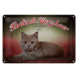 Blechschild Katze 30x20cm British Kurzhaar Großbritanien