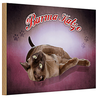 Holzschild Katze 30x20cm Burma Katze