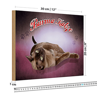Holzschild Katze 30x20cm Burma Katze