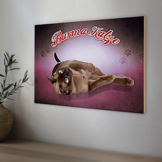 Holzschild Katze 30x20cm Burma Katze
