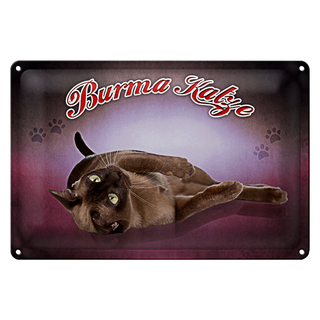 Blechschild Katze 30x20cm Burma Katze
