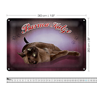 Blechschild Katze 30x20cm Burma Katze