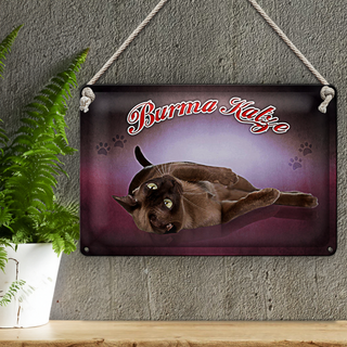 Blechschild Katze 30x20cm Burma Katze