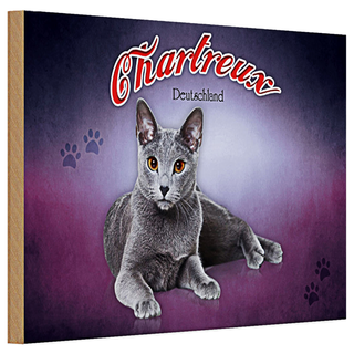 Holzschild Katze 30x20cm Chartreux Deutschland