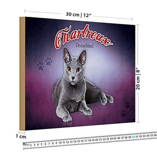 Holzschild Katze 30x20cm Chartreux Deutschland