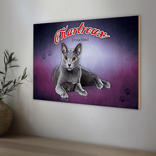 Holzschild Katze 30x20cm Chartreux Deutschland