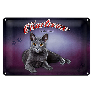 Blechschild Katze 30x20cm Chartreux Deutschland