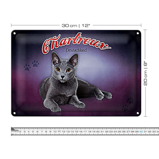 Blechschild Katze 30x20cm Chartreux Deutschland