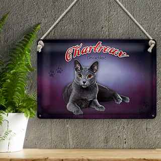 Blechschild Katze 30x20cm Chartreux Deutschland