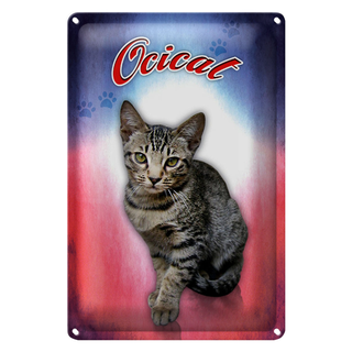 Blechschild Katze 20x30cm Ocicat Wanddeko