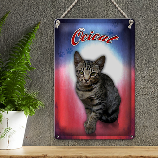 Blechschild Katze 20x30cm Ocicat Wanddeko
