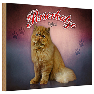 Holzschild Katze 30x20cm Perserkatze England Wanddeko
