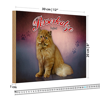 Holzschild Katze 30x20cm Perserkatze England Wanddeko