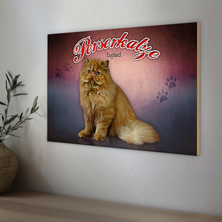 Holzschild Katze 30x20cm Perserkatze England Wanddeko