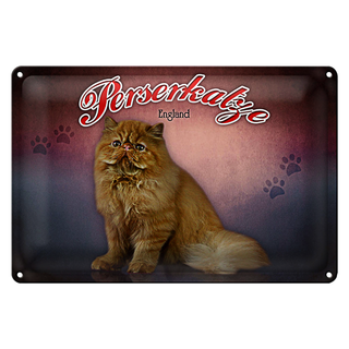 Blechschild Katze 30x20cm Perserkatze England Wanddeko