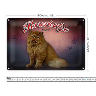 Blechschild Katze 30x20cm Perserkatze England Wanddeko