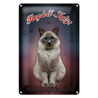 Blechschild Katze 20x30cm Ragdoll Katze 1960 Wanddeko
